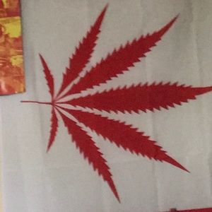 Meet your Posher, Brayden